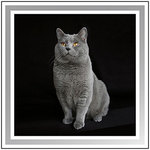 Formate: siehe Tabelle!