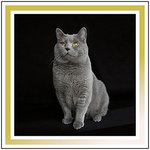 Formate: siehe Tabelle!