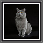 Formate: siehe Tabelle!